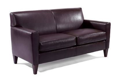 Digby Two-Cushion Leather Sofa3966-30 from Flexsteel furniture